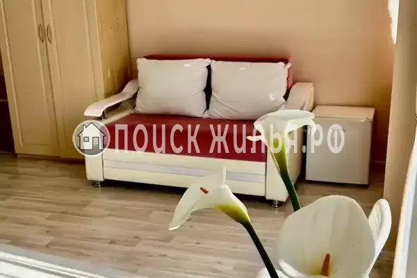 «ЦитруS»