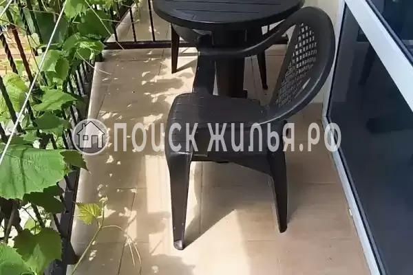 Гостевой дом «Альмира» Гостевой дом «Альмира»