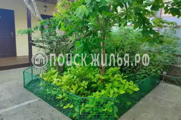 Частный сектор «Ани»