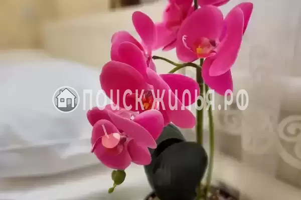 Частный сектор «Аэлита»