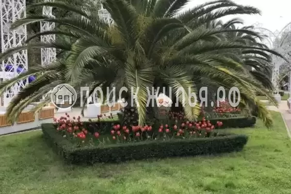 Апартаменты «Фисташка» Апартаменты «Фисташка»