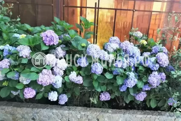 Апартаменты «Как дома»