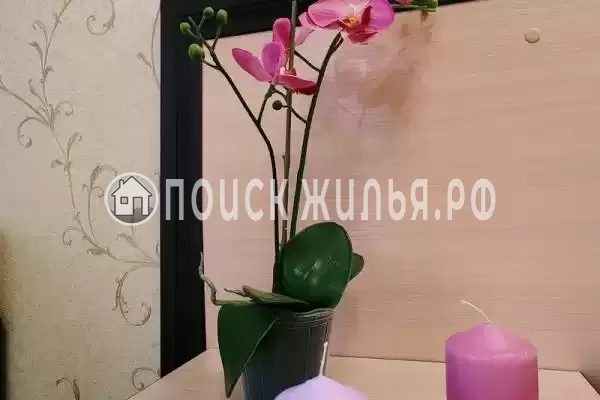 «Наутилус» «Наутилус»