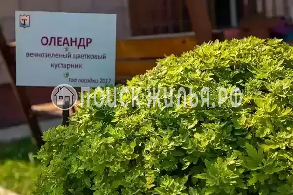 Дом под ключ «Семейный таунхаус» Дом под ключ «Семейный таунхаус»